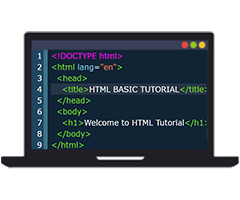 html-basic-tutorial-coderwell